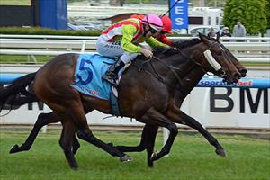 Listed winner Mezeray Miss Listed winner Mezeray Miss